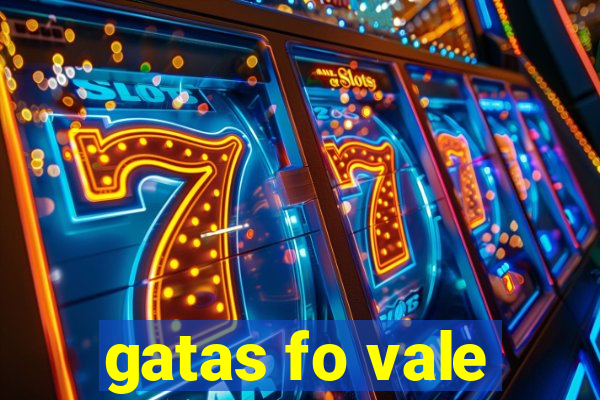 gatas fo vale